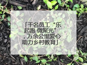 千名员工“乐起跑 微聚光”，万余公里爱心助力乡村教育