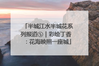 半城江水半城花系列报道⑤｜彩绘丁香：花海映照一座城