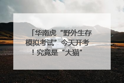 华南虎“野外生存模拟考试”今天开考！究竟是“大猫” 还是顶级猎食者？
