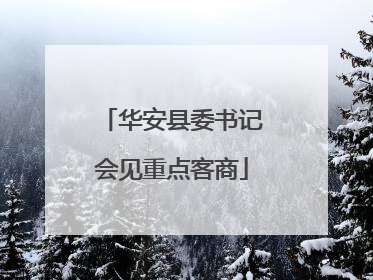 华安县委书记会见重点客商