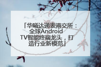 华曦达递表港交所：全球Android TV智能终端龙头，打造行业新模范