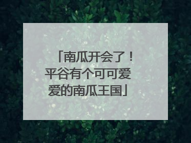 南瓜开会了！平谷有个可可爱爱的南瓜王国