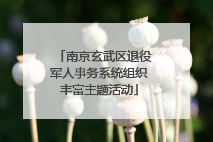 南京玄武区退役军人事务系统组织丰富主题活动