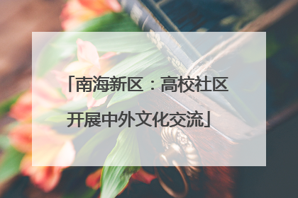 南海新区：高校社区开展中外文化交流