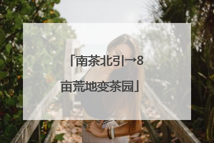 南茶北引→8亩荒地变茶园