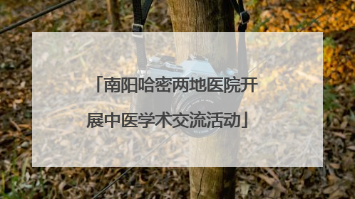 南阳哈密两地医院开展中医学术交流活动