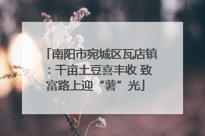 南阳市宛城区瓦店镇：千亩土豆喜丰收 致富路上迎“薯”光