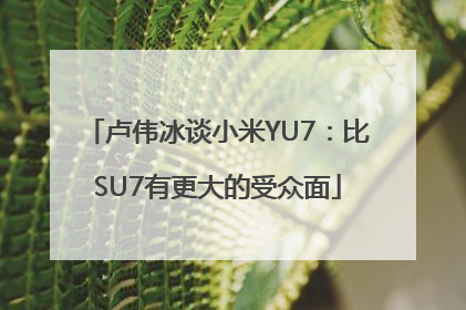 卢伟冰谈小米YU7：比SU7有更大的受众面