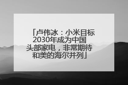 卢伟冰：小米目标2030年成为中国头部家电，非常期待和美的海尔并列