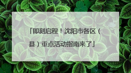 即刻启程！沈阳市各区（县）重点活动指南来了