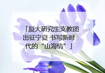 厦大研究生支教团出征宁夏 书写新时代的“山海情”