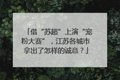 借“苏超”上演“宠粉大赛”，江苏各城市拿出了怎样的诚意？