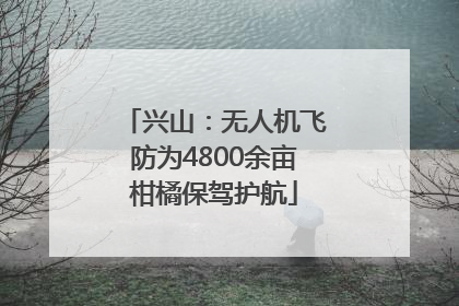 兴山：无人机飞防为4800余亩柑橘保驾护航