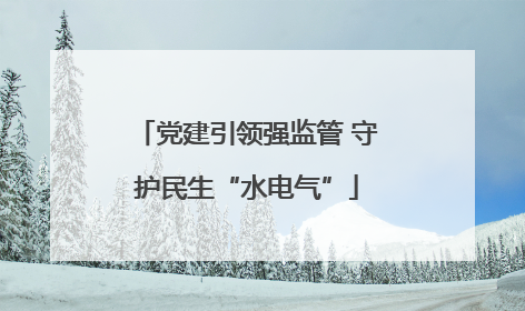 党建引领强监管 守护民生“水电气”