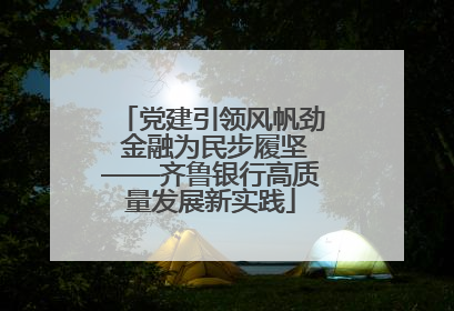 党建引领风帆劲 金融为民步履坚——齐鲁银行高质量发展新实践