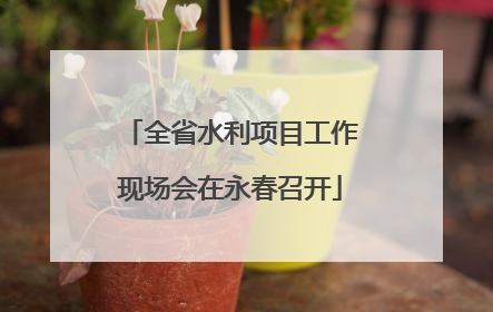 全省水利项目工作现场会在永春召开