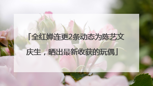 全红婵连更2条动态为陈艺文庆生，晒出最新收获的玩偶