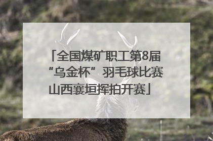 全国煤矿职工第8届“乌金杯”羽毛球比赛山西襄垣挥拍开赛