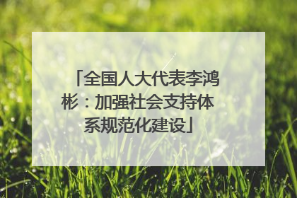 全国人大代表李鸿彬：加强社会支持体系规范化建设
