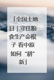 全国土地日｜守住粮食生产命根子 看中原如何“耕”新