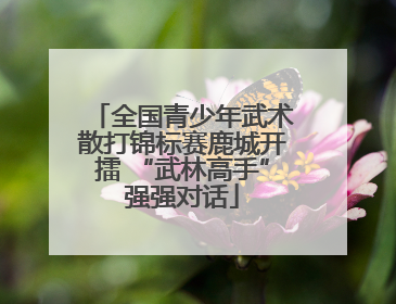 全国青少年武术散打锦标赛鹿城开擂 “武林高手”强强对话