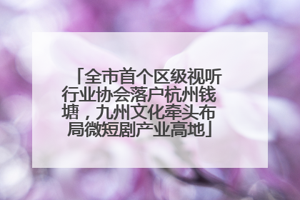 全市首个区级视听行业协会落户杭州钱塘，九州文化牵头布局微短剧产业高地