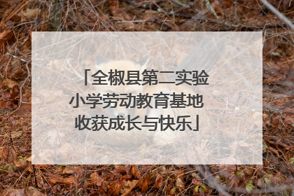 全椒县第二实验小学劳动教育基地收获成长与快乐