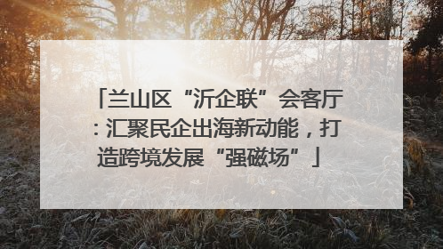 兰山区“沂企联”会客厅：汇聚民企出海新动能，打造跨境发展“强磁场”