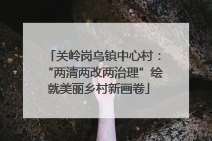 关岭岗乌镇中心村：“两清两改两治理”绘就美丽乡村新画卷