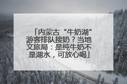 内蒙古“牛奶湖”游客排队接奶？当地文旅局：是纯牛奶不是湖水，可放心喝