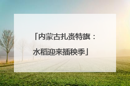 内蒙古扎赉特旗：水稻迎来插秧季