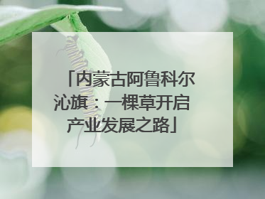 内蒙古阿鲁科尔沁旗：一棵草开启产业发展之路