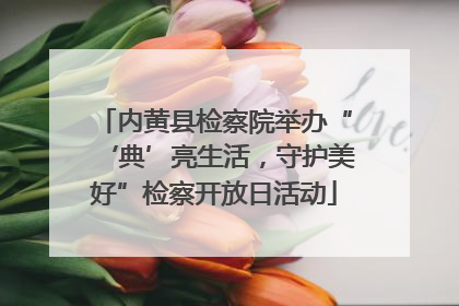 内黄县检察院举办“‘典’亮生活，守护美好”检察开放日活动
