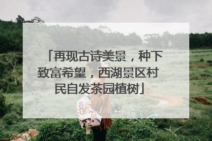 再现古诗美景，种下致富希望，西湖景区村民自发茶园植树
