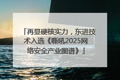 再显硬核实力，东进技术入选《嘶吼2025网络安全产业图谱》
