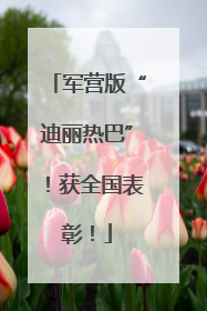 军营版“迪丽热巴”！获全国表彰！