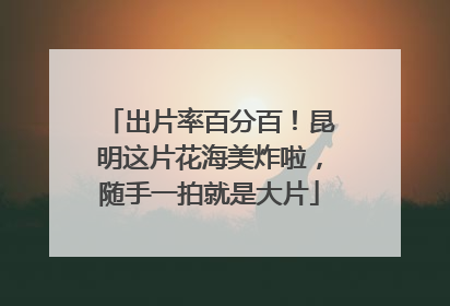 出片率百分百！昆明这片花海美炸啦，随手一拍就是大片