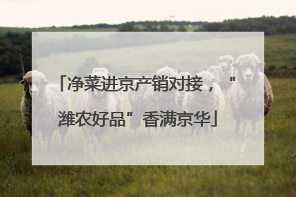 净菜进京产销对接，“潍农好品”香满京华