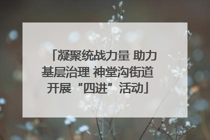 凝聚统战力量 助力基层治理 神堂沟街道开展“四进”活动