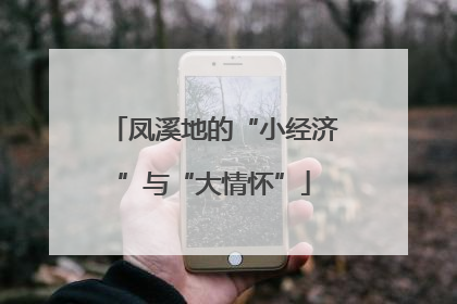 凤溪地的“小经济”与“大情怀”