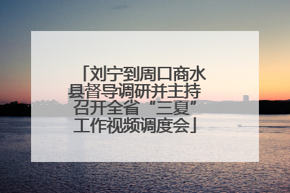 刘宁到周口商水县督导调研并主持召开全省“三夏”工作视频调度会