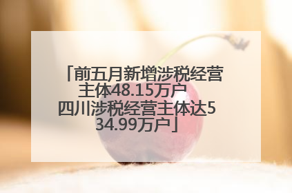 前五月新增涉税经营主体48.15万户 四川涉税经营主体达534.99万户
