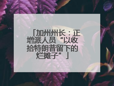 加州州长：正增派人员“以收拾特朗普留下的烂摊子”