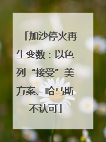 加沙停火再生变数：以色列“接受”美方案、哈马斯不认可