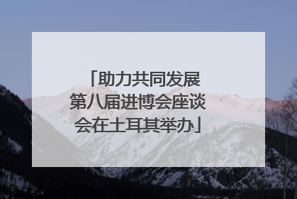 助力共同发展 第八届进博会座谈会在土耳其举办
