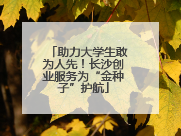 助力大学生敢为人先！长沙创业服务为“金种子”护航