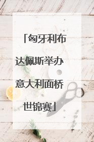 匈牙利布达佩斯举办意大利面桥世锦赛