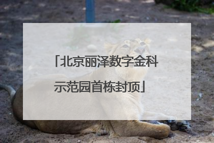 北京丽泽数字金科示范园首栋封顶