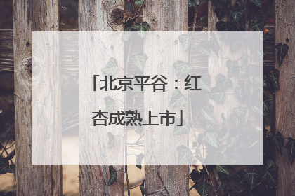 北京平谷：红杏成熟上市