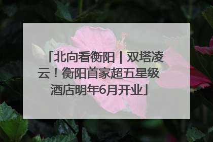 北向看衡阳｜双塔凌云！衡阳首家超五星级酒店明年6月开业